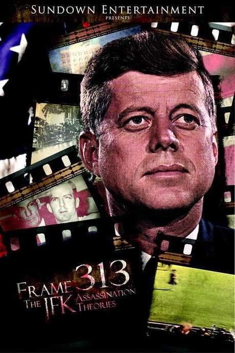 Frame 313: The JFK Assassination Theories